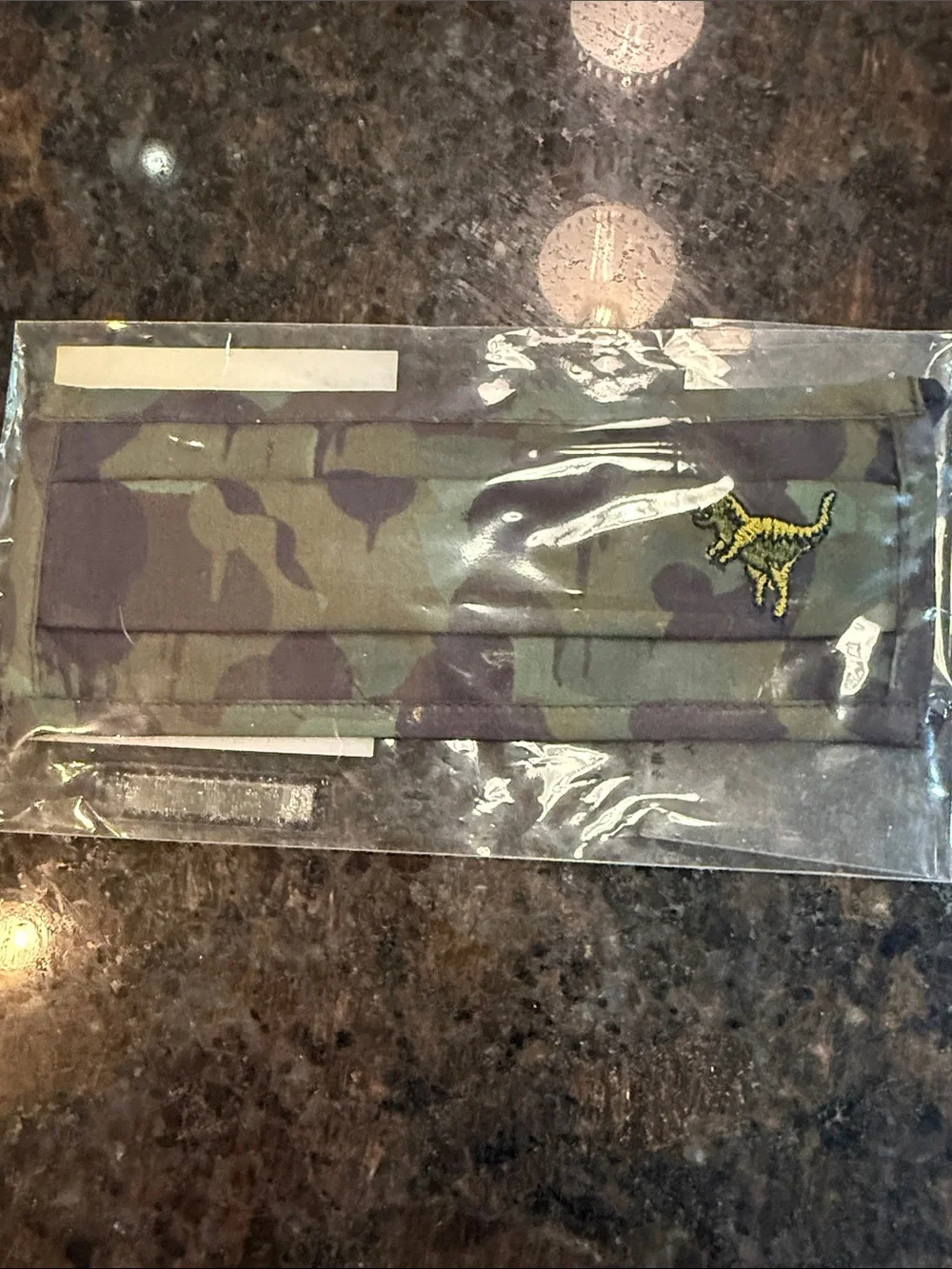 Coach Men's Camouflage Cotton Face Mask in Green